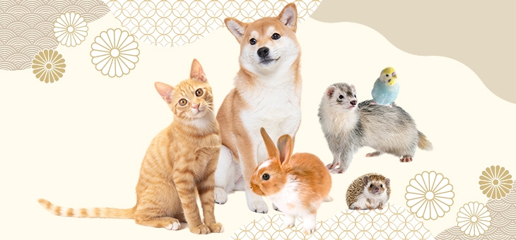 東京都内のペット葬儀ならペット葬儀のつなよし理由画像