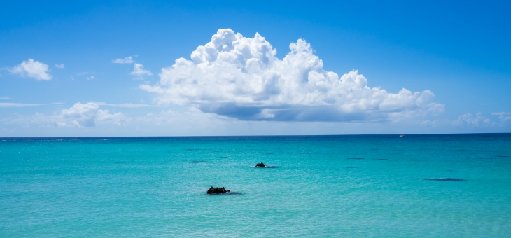 東京都内のペット葬儀ならペット葬儀のつなよし代理海洋散骨イメージ画像