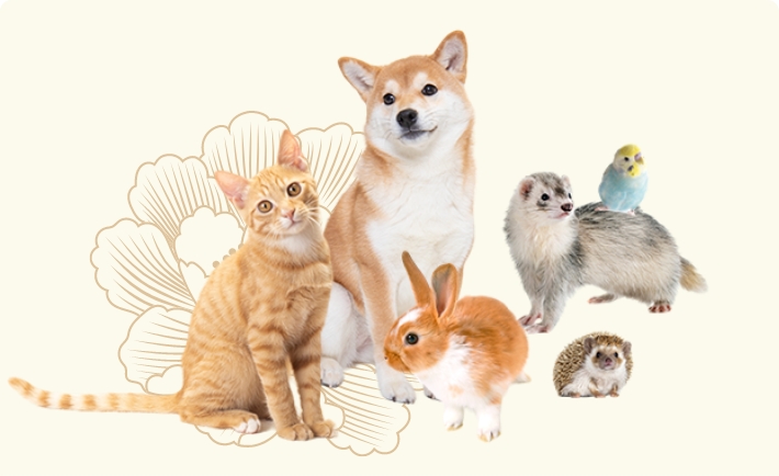 東京都内のペット葬儀ならペット葬儀のつなよしの画像